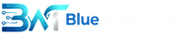 BLUE WEB TECH